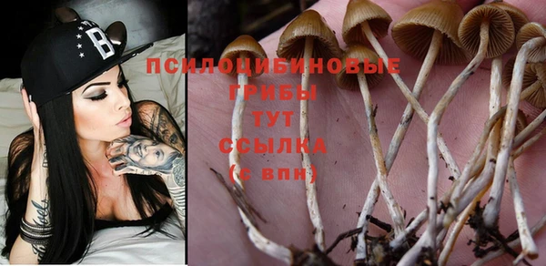 синтетический гашиш Гусь-Хрустальный