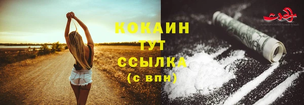 скорость Гусев