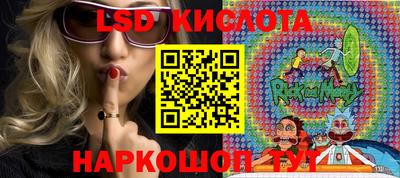 индика Можайск