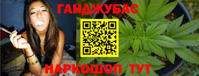 индика Можайск