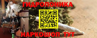 индика Можайск