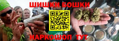 индика Можайск
