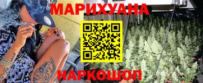 индика Можайск