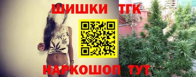 индика Можайск