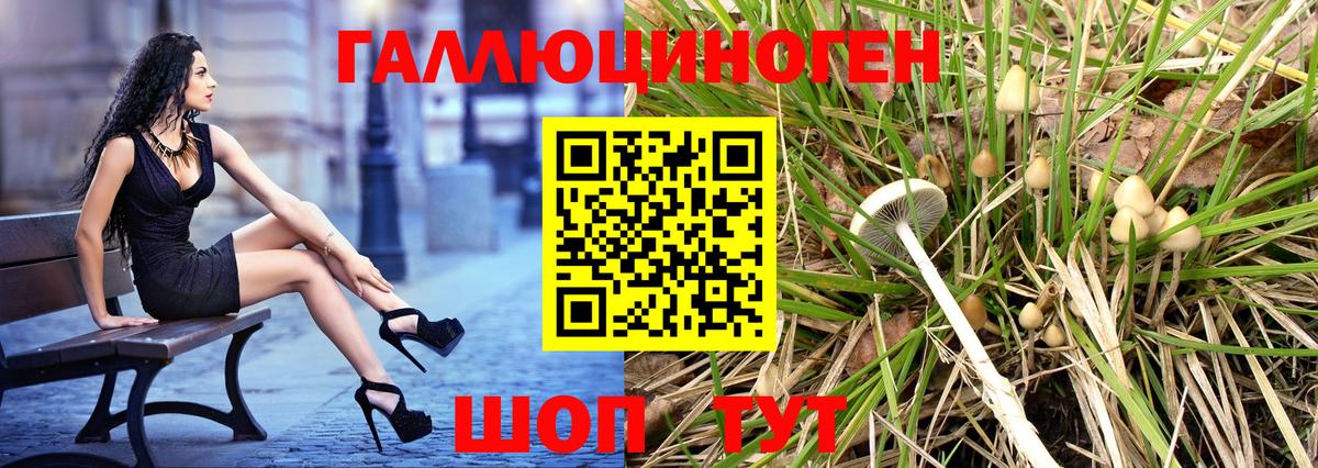 Галлюциногенные грибы ЛСД Салават